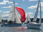 Sailing Event Makes NZ