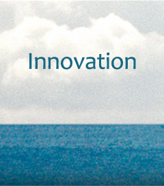 Kiwi Innovation Solution to Indian Sea Erosion