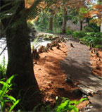 Passing Through the Idyllic