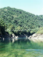 Gold ‘Neath the Swingbridge
