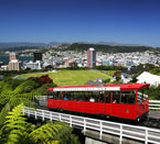 The power of the pedal