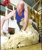 Fagan Wields His Golden Shears