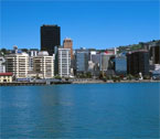 World Environment Day in Wellington