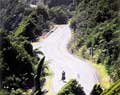 Cut Along and Make It Your Own Way: Magnificent Cycling on the Road