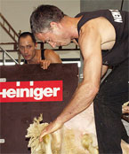 Fleecing the Competition