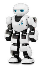 Robotic Tai Chi
