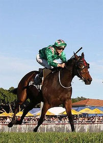 Filly Claims Barnstorming Win