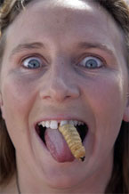 Gastronomic Benchmark