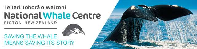 Whale Centre